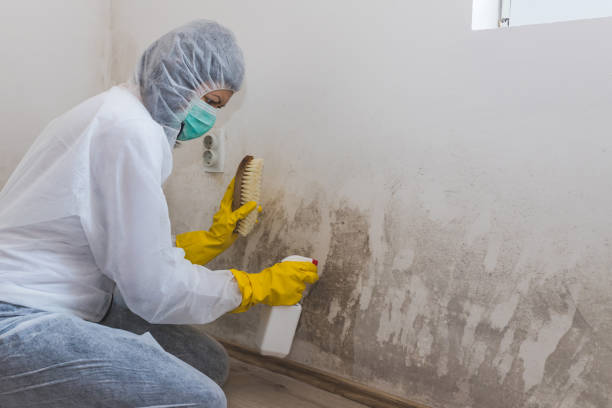 Best Crawl Space Mold Removal  in Lake Mawk, OH