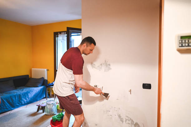 Best Crawl Space Mold Removal  in Lake Mawk, OH